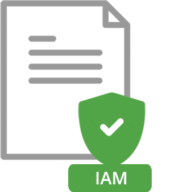 Identity Access Management (IAM)